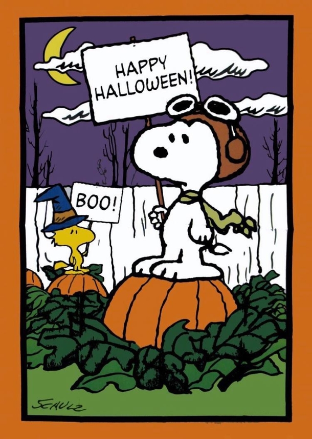 10 Fun Happy Halloween Quotes And Sayings For 2023 - picture 9