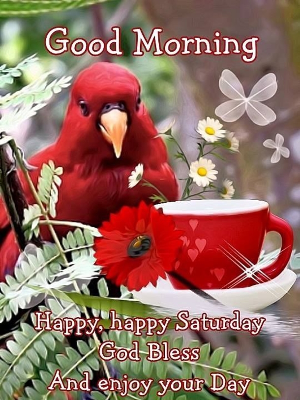 10 Fun Happy Saturday Quotes And Sayings - picture 9