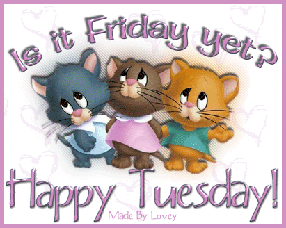 10 Fun Happy Tuesday Quotes, Sayings And Gifs - picture 12