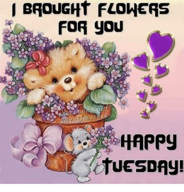 10 Fun Happy Tuesday Quotes, Sayings And Gifs - picture 4