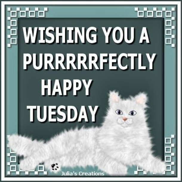 10 Fun Happy Tuesday Quotes, Sayings And Gifs - picture 5