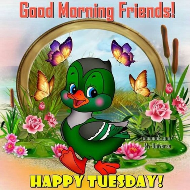 10 Fun Happy Tuesday Quotes, Sayings And Gifs - picture 8