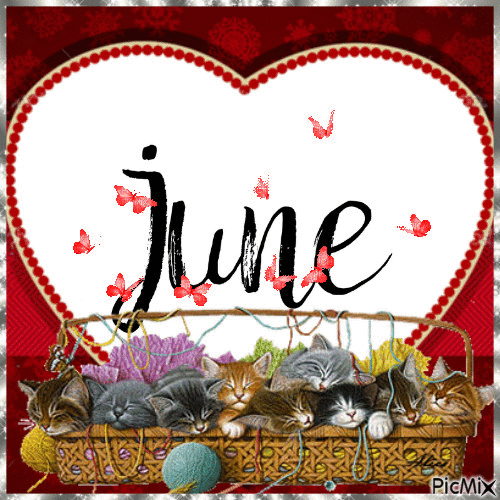 10 Fun Hello June Animated Quote Gifs - picture 2