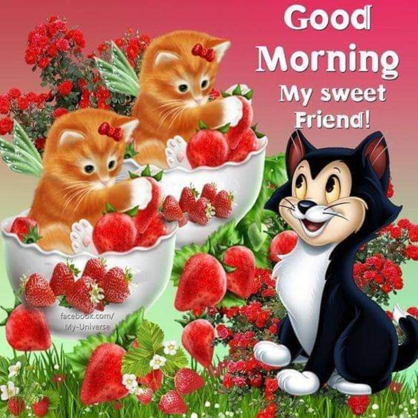 10 Fun, Loving And Sweet Good Morning Images - picture 11
