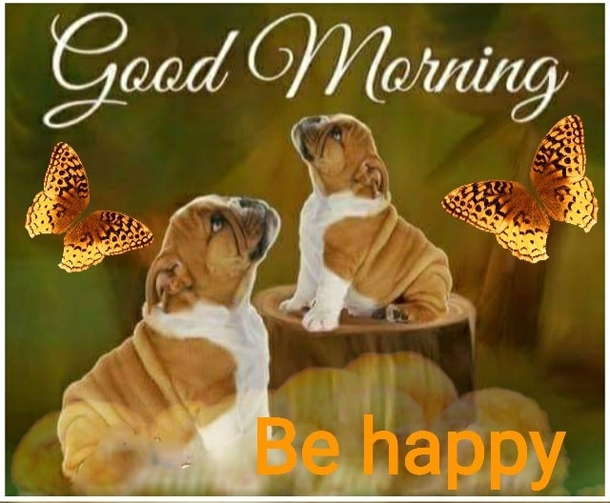 10 Fun, Loving And Sweet Good Morning Images - picture 6