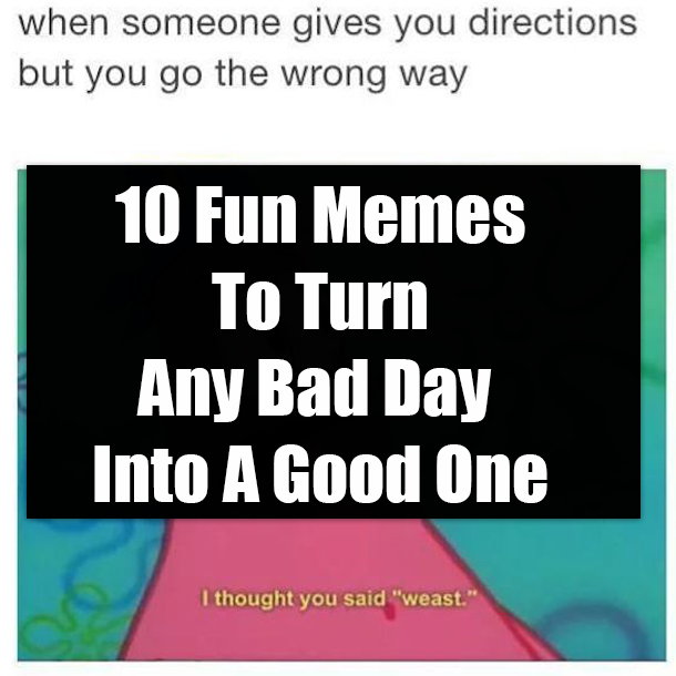 10 Fun Memes To Turn Any Bad Day Into A Good One