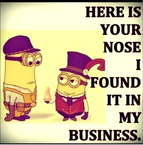 10 Fun Minion Jokes In 2023 That Will Make Your Day - picture 6