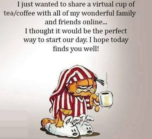 10 Fun Morning Quotes And Pictures - picture 9
