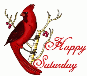10 Fun Saturday Gifs To Help You Enjoy The Day - picture 11