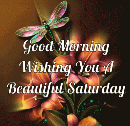 10 Fun Saturday Gifs To Help You Enjoy The Day - picture 2