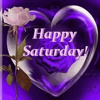 10 Fun Saturday Gifs To Help You Enjoy The Day - picture 8