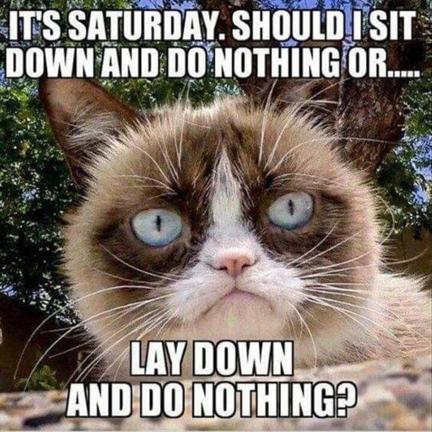 10 Fun Saturday Memes For A Great Weekend - picture 11