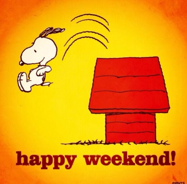 10 Fun Snoopy Weekend Quotes To Celebrate And Enjoy - picture 11