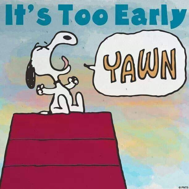 10 Fun Snoopy Weekend Quotes To Celebrate And Enjoy - picture 3