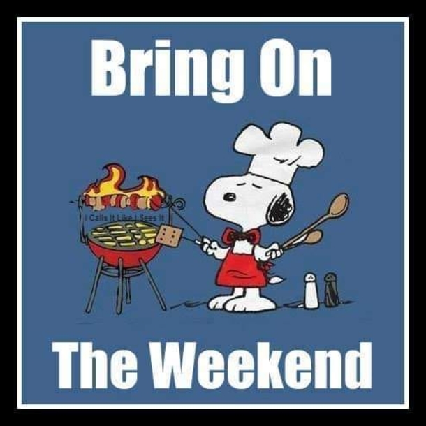 10 Fun Snoopy Weekend Quotes To Celebrate And Enjoy - picture 5