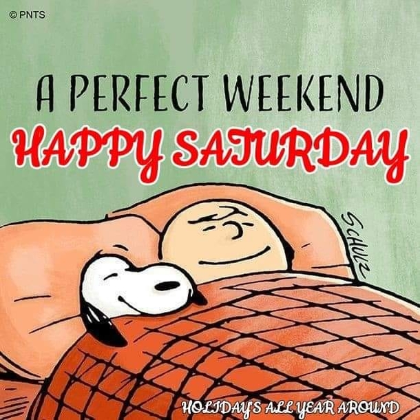 10 Fun Snoopy Weekend Quotes To Celebrate And Enjoy - picture 7