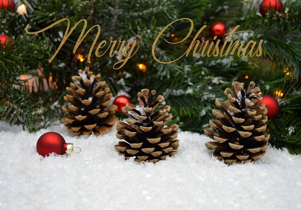 10 Fun & Festive Merry Christmas Quotes For The Holday Season - picture 12