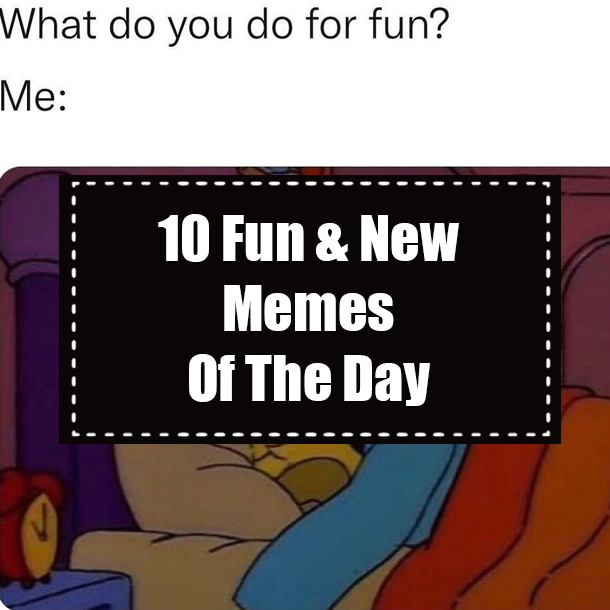 10 Fun & New Memes Of The Day