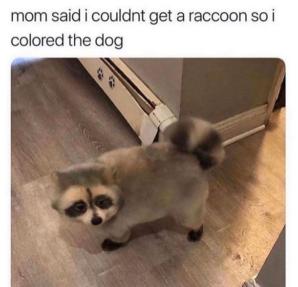 10 Fun & New Memes Of The Day - picture 7