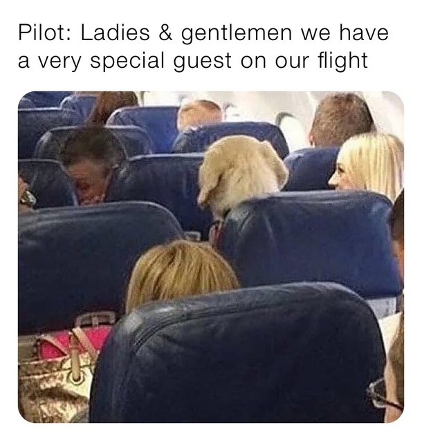 10 Fun & New Memes Of The Day - picture 9