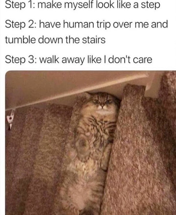 10 Funniest Memes To Read For Any Occasion - picture 3