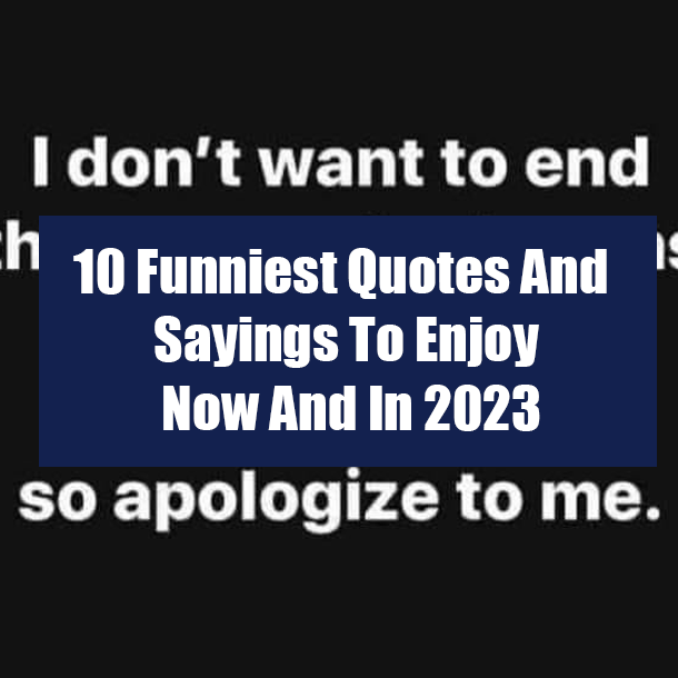 10 Funniest Quotes And Sayings To Enjoy Now And In 2023