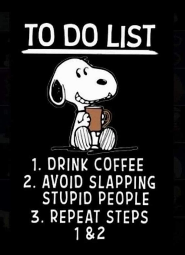 10 Funniest Quotes And Sayings To Enjoy Now And In 2023 - picture 13