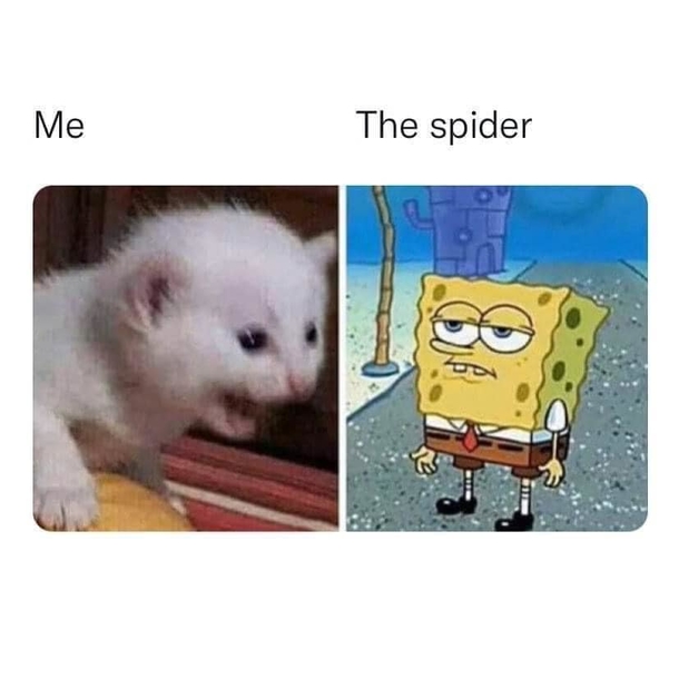 10 Funniest SpongeBob Memes About Life That Will Make You Laugh Hard - picture 7