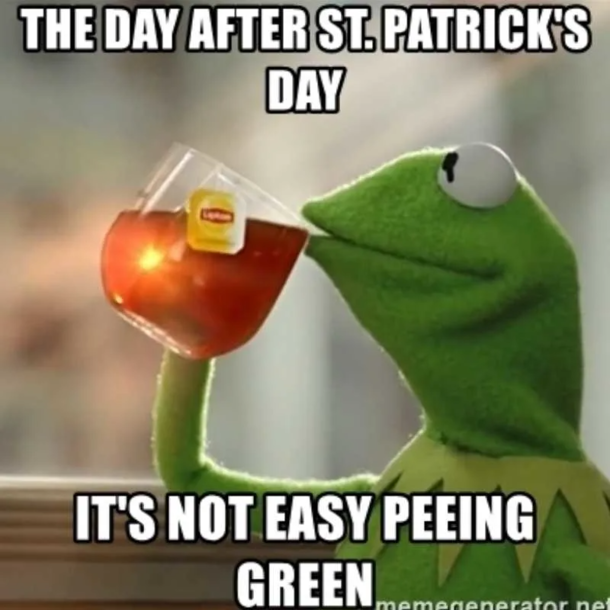 10 Funniest St. Patrick's Day Memes Of 2023 - picture 10