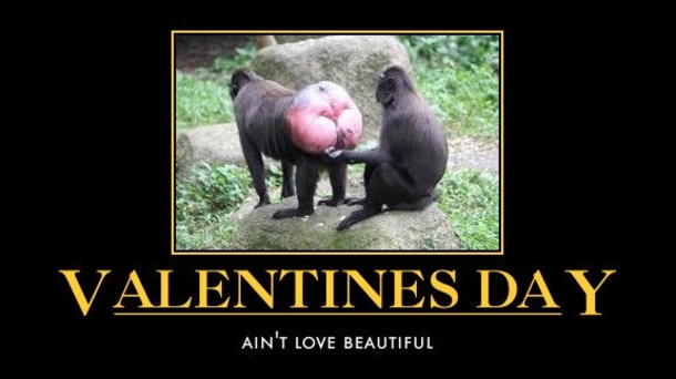 10 Funny And Humor Pictures For Valentine's Day - picture 7