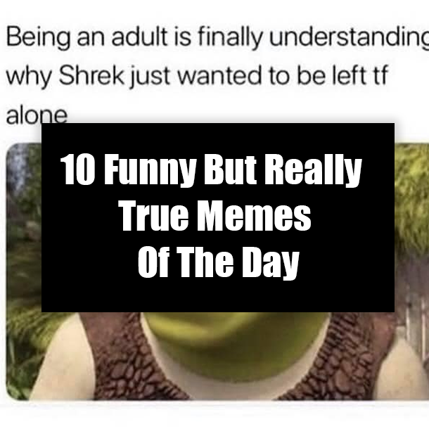 10 Funny But Really True Memes Of The Day