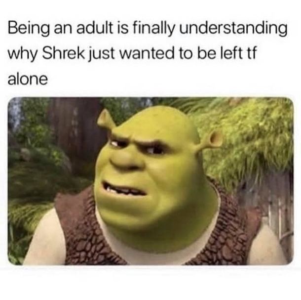 10 Funny But Really True Memes Of The Day - picture 11