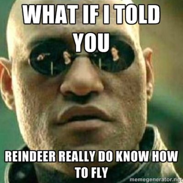 10 Funny Christmas Memes That You Have To See To Believe - picture 3