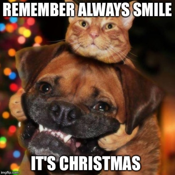 10 Funny Christmas Memes To Give The Gift Of Laughter To Your Loved Ones This Year - picture 7