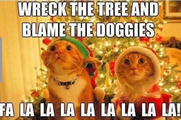 10 Funny Christmas Memes To Give The Gift Of Laughter To Your Loved Ones This Year - picture 8
