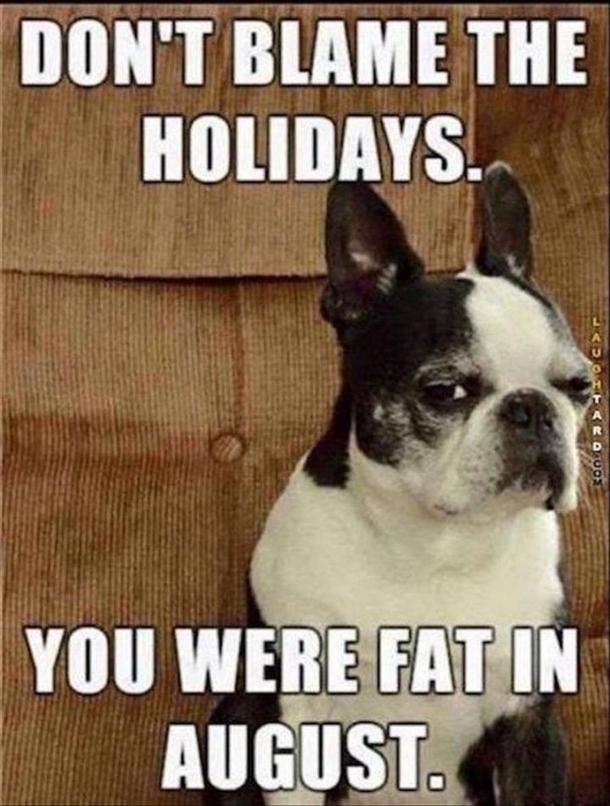 10 Funny Christmas Memes To Spread Some Holiday Humor - picture 9