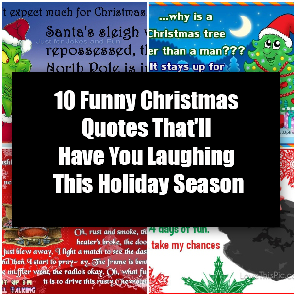 10 Funny Christmas Quotes That'll Have You Laughing This Holiday Season