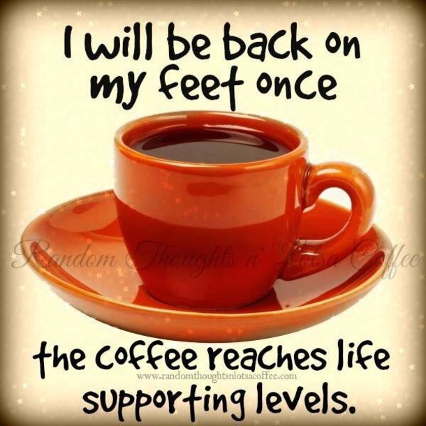 10 Funny Coffee Quotes To Enjoy During Your Morning - picture 6