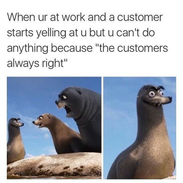 10 Funny Customer Service Memes That Will Have You In Tears - picture 8