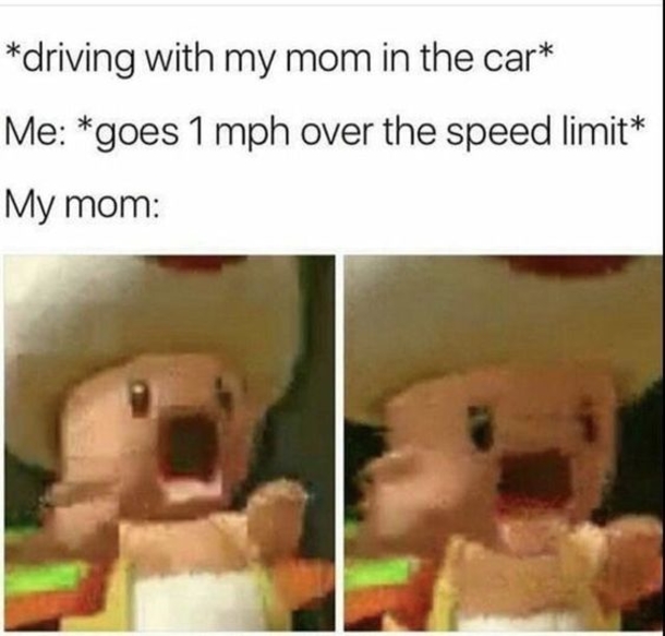 10 Funny Driving Memes Any Driver Can Relate To - picture 9