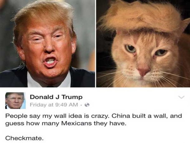 10 Funny Fails Of The Day - picture 2