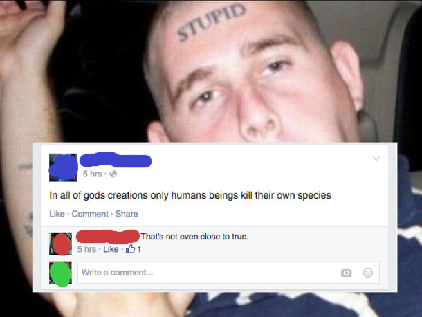10 Funny Fails Of The Day - picture 7
