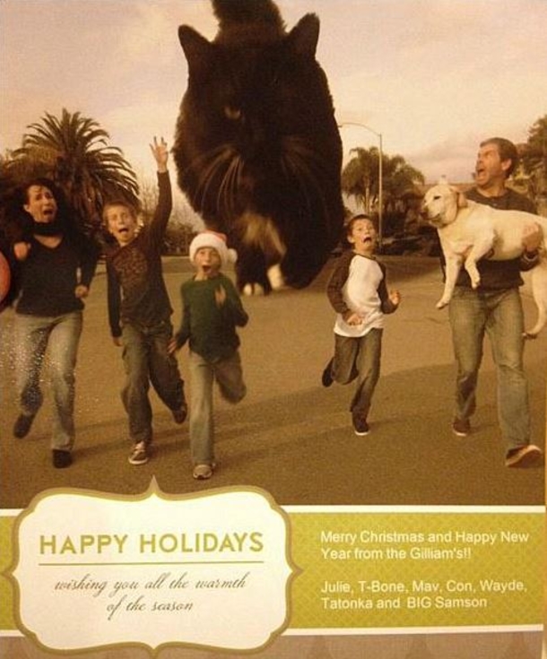 10 Funny Family Christmas Card Ideas - picture 3