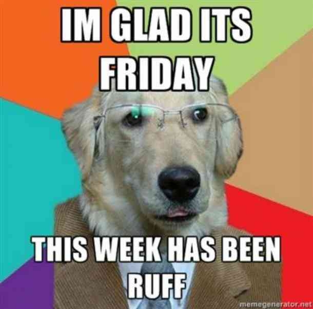 10 Funny Friday Memes To Share For The Weekend - picture 10