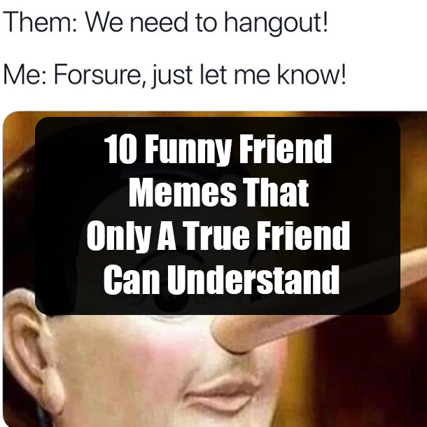 10 Funny Friend Memes That Only A True Friend Can Understand