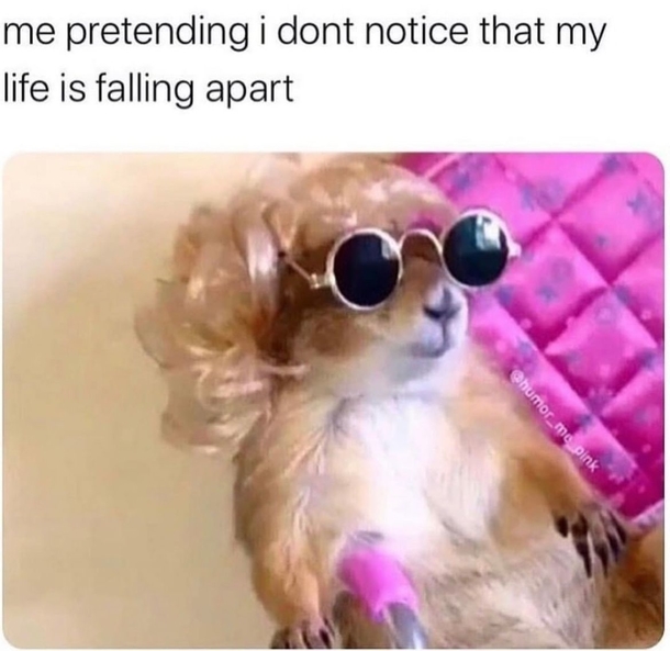 10 Funny Girlfriend Memes Only She Would Understand LOL - picture 10