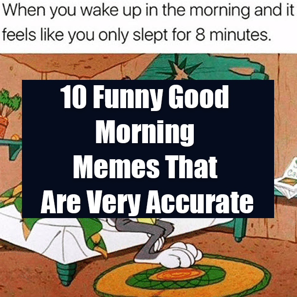 10 Funny Good Morning Memes That Are Very Accurate