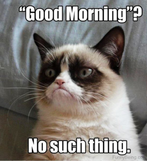 10 Funny Good Morning Memes That Are Very Accurate - picture 3