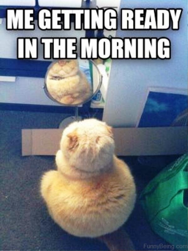 10 Funny Good Morning Memes That Are Very Accurate - picture 4