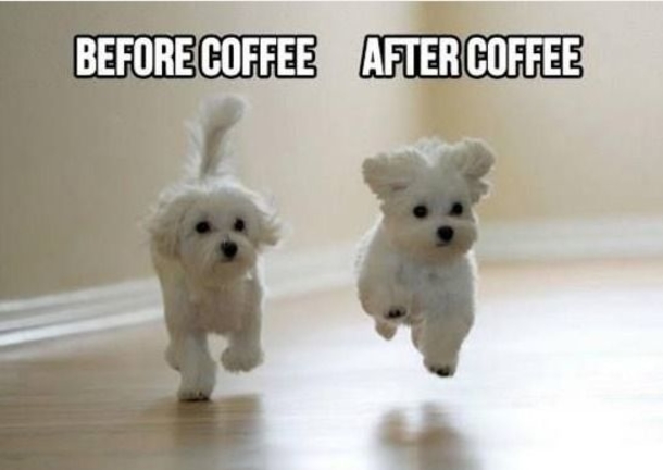 10 Funny Good Morning Memes That Are Very Accurate - picture 5